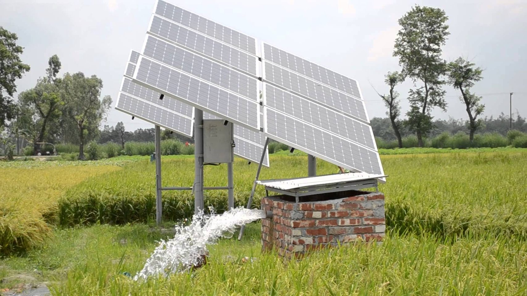 A solar panel array powering an irrigation pump that discharges water into a paddy field